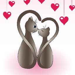 elotweet2's profile picture. 