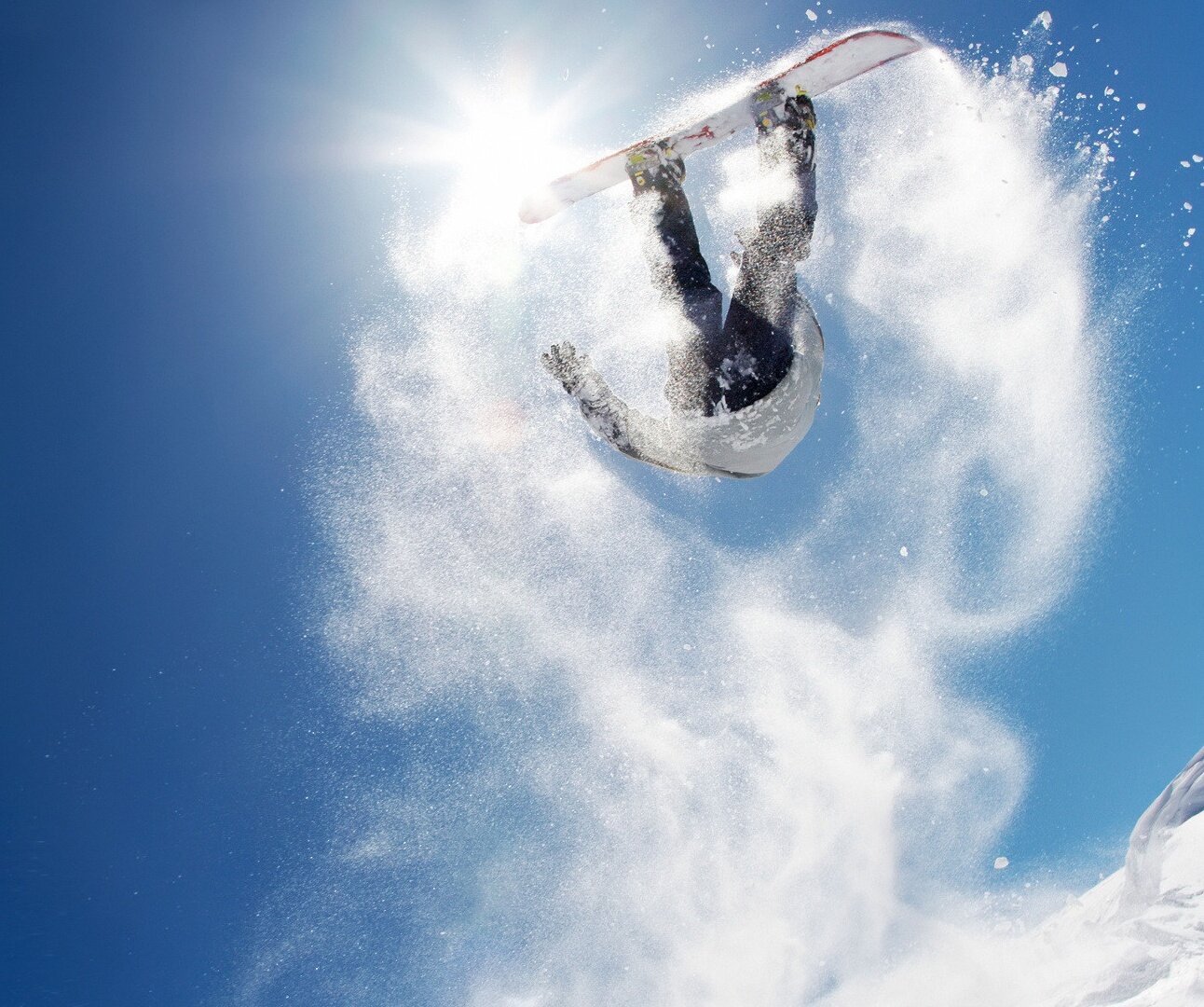 TwiterBesto's profile picture. 