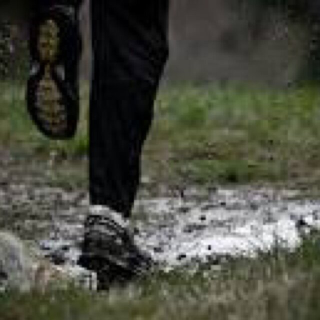 Hamsterley 10k tweets updated by race organiser @julienisbet ... next race 5th July 2015!