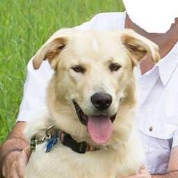 jrt219's profile picture. 