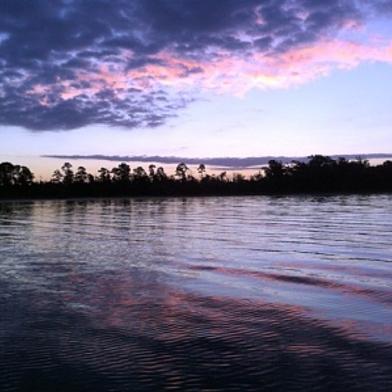 dlowe28035's profile picture. 