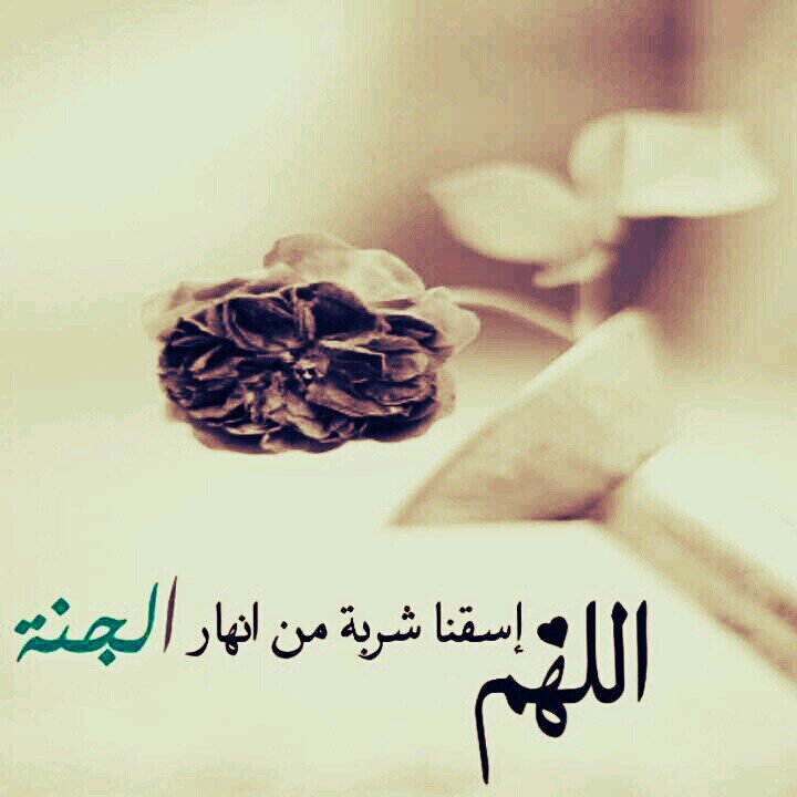 wejdan112233's profile picture. ‏‏حساب صدقه جاريه لصديقه واخت نادره في هذا الوجود اللهم اجعلها خالصه لوجههك الكريم واجمعني بها في جناتك جنات النعيم ♡