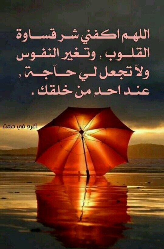 ‏‏ٱحببتَ عينيھا ثمَ ٱحببتّ طيبتھا ثمَ ٱحببتّ حنٱنھأ ثم ٱحببتٌ صبرها عليٌ وٱخيرٱ ٱحببتَ نفسيْ بھا !! ːفكيف لٱ ٱعشقھأ 3 3”