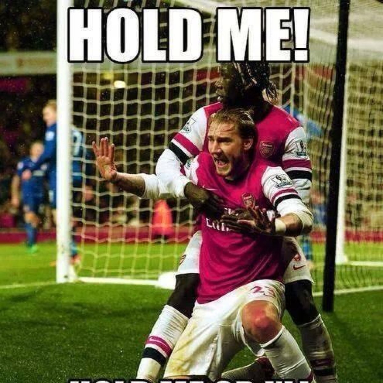 arsenal fan! arsenal till i die
