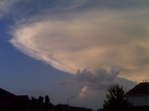 Charles McGonigal Profile