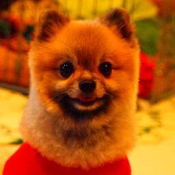 影っ子さんのプロフィール画像