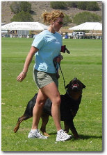 The lastest News and Tips about dog training 24/7