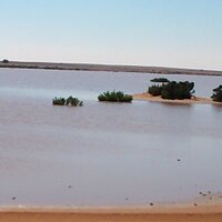 احمد الاحمد (@alahmed1384) 's Twitter Profile