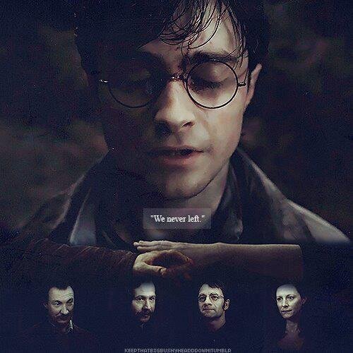 Un-official fanbase of Harry Potter (03.01.14) | Share fact, pict, quotes, video, etc. Draco Dormiens Nunquam Titillandus. (msPotter).