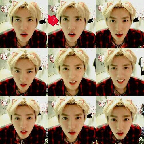 ♥คริสยอล♥เทาแบค♥ทั้งใจ [ EXO เท่านั้นที่ครองโลก ] @kotchak29510995