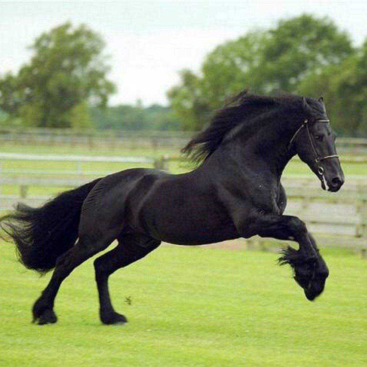 Hello folow me and then I folow you back