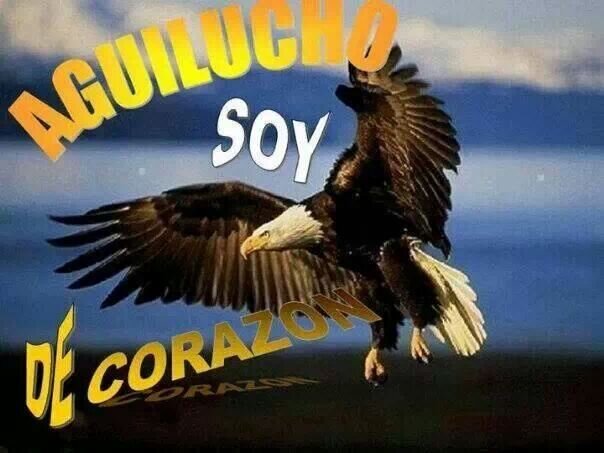 hay que vivir la vida a plenitud mira que se va y no vuelve
