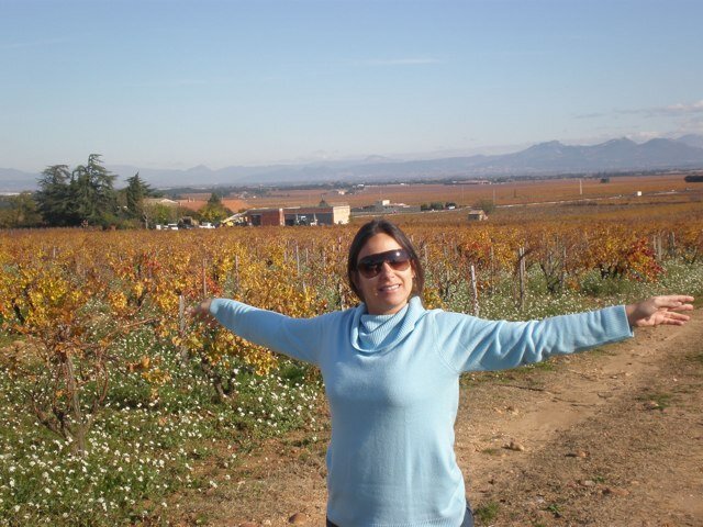 MsvcMsv's profile picture. 