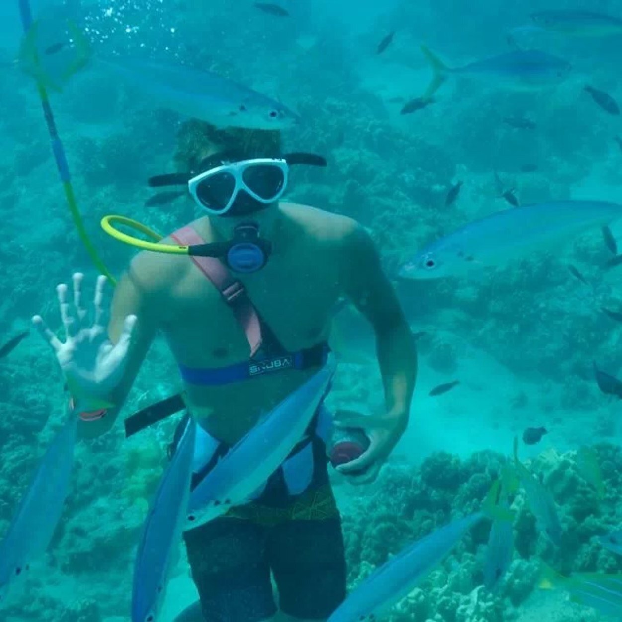 rossdeklerk's profile picture. 