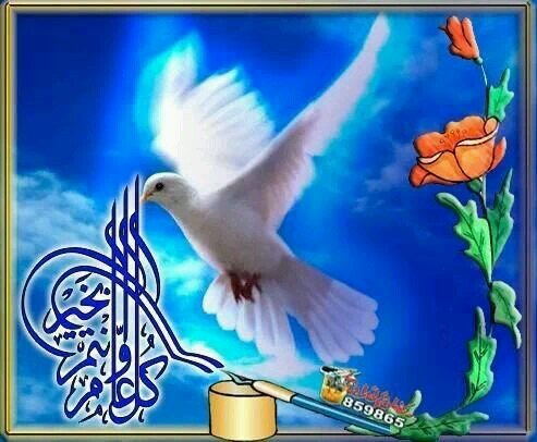 MMuhammadafzal's profile picture. 