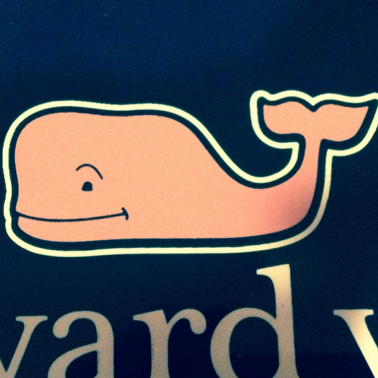 Vineyard_viness's profile picture. 