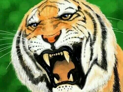 sholl7's profile picture. 선거로 말 하지 못하는 미개한 국민의식이 무는한 정권을 창조한다. (정몽준 막내아들 말)