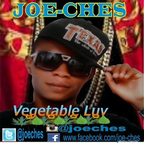 Aim for adventure am a musician/songwriter.. call for show on +2348163399026  email me:joechesmusic@gmail.com