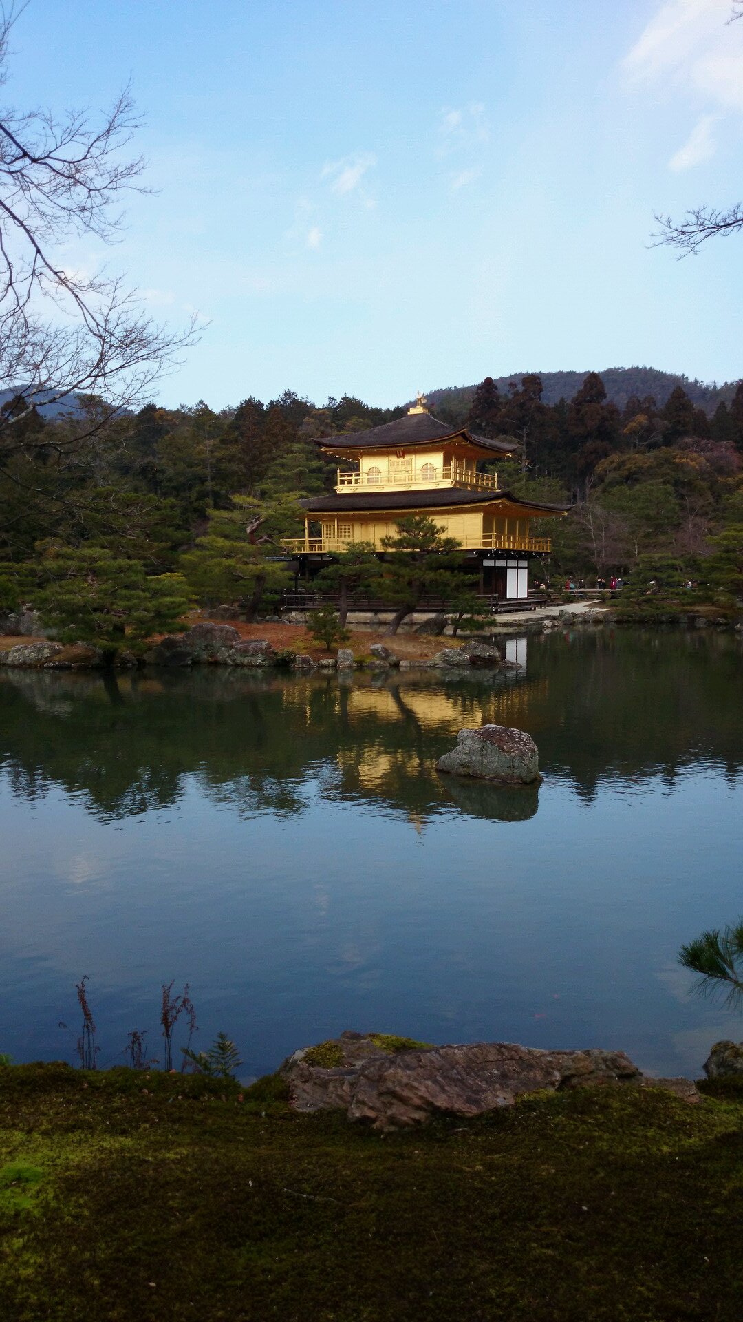 camereon5's profile picture. ハグしちゃうかんね！