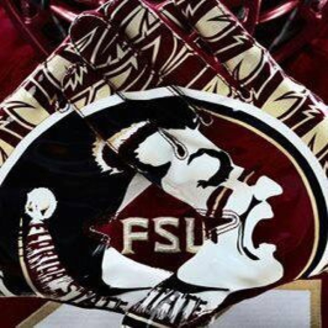 Only get one shot at it! Nole till I die, class of ‘06!!