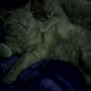 Jenna Ostrander - @JennaOstrander - Twitter