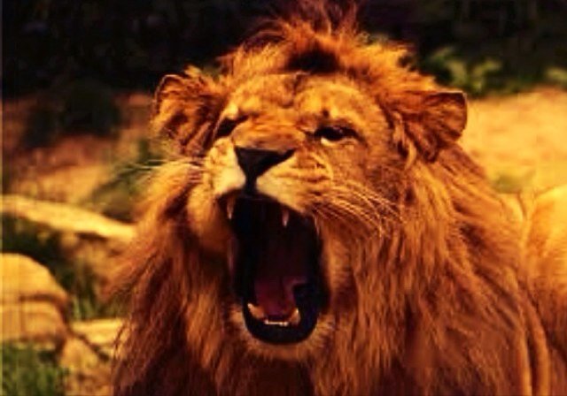 ___MAD_HOUSE___'s profile picture. Taking care of everybody & everything - worldwide ! -Exit through the gift shop-