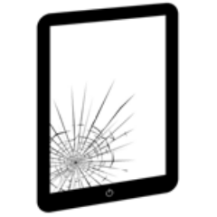 Do you need to diagnose, repair and fix problems or issues with your iPad or iPad Mini?