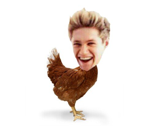 freefollow_ffw's profile picture. • hello • please follow @horanskfc_ bc I gave u a free follow