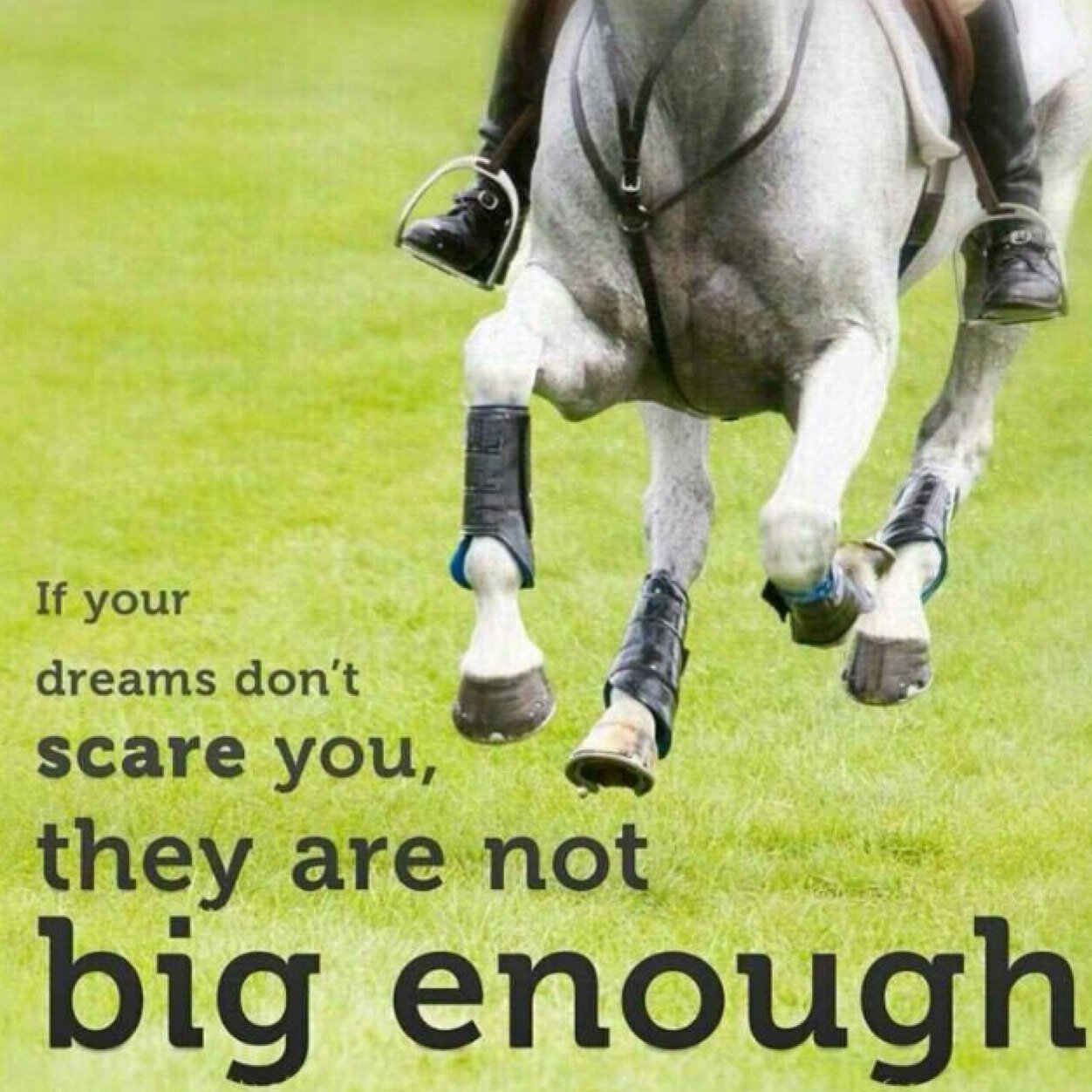 I started riding when I was 5 loved horses my whole life and am now 16 and have to work to ride, its all worth it though.