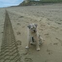 Danny mooney - @DmMoondog1957 - Twitter