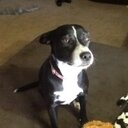 Annie Lou Lou Brewer - @lou_brewer - Twitter