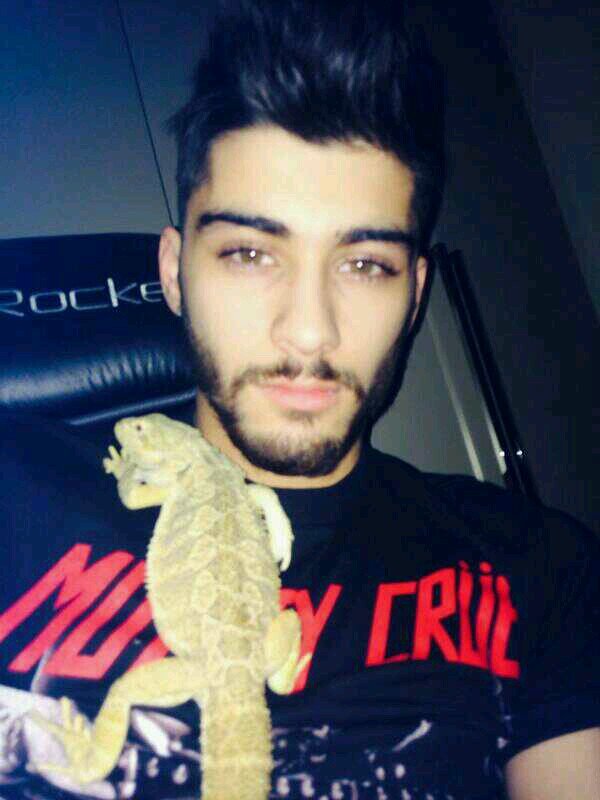 hey bby I just gave u a free follow so it would mean a lot if u could follow @tenderizayn ily :) x