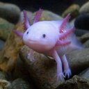 vanessa stanfield - @vanessastanfiel - Twitter