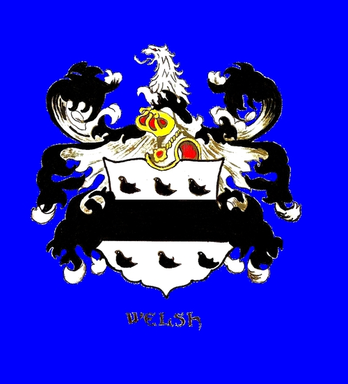A C Welsh Correa