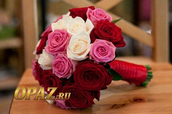 RaiskaShamsudin's profile picture. 