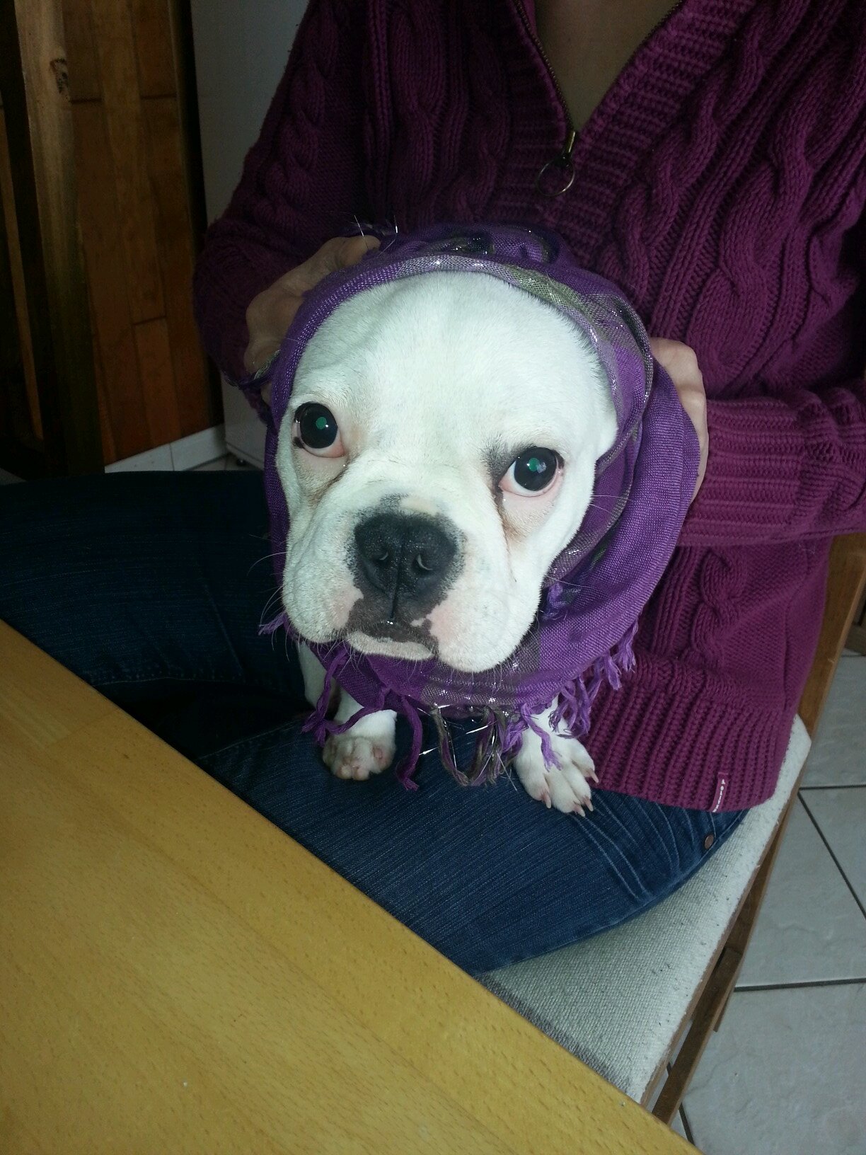 KayserDavid's profile picture. 