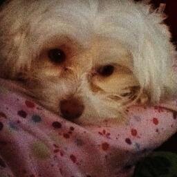 marley2515123's profile picture. loves basketball and THE NEXT STEP!!!!