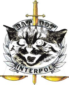 catspolicy's profile picture. 