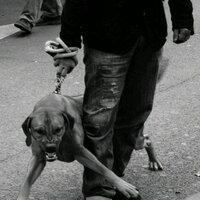 S N U F F (@sashaparadise11) 's Twitter Profile