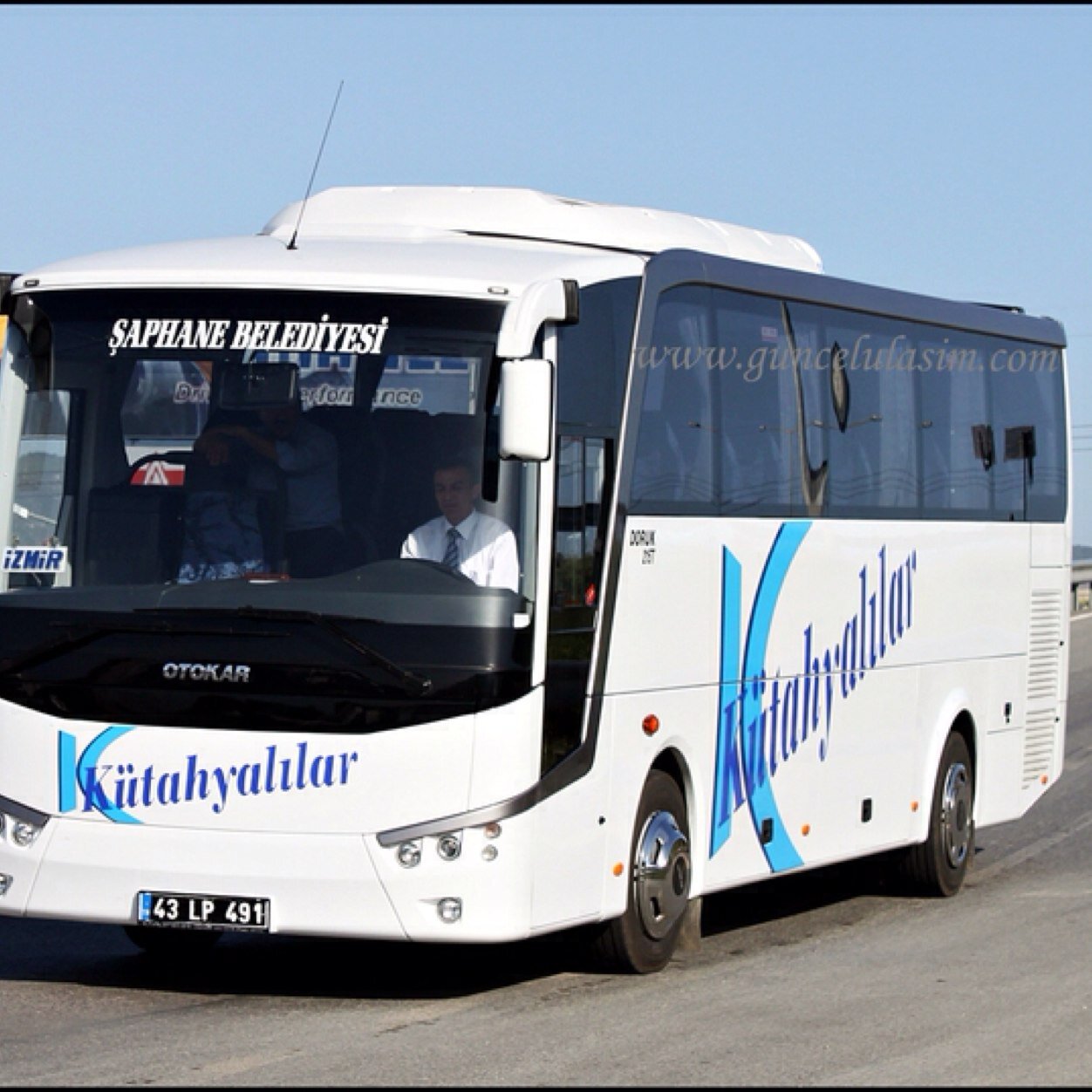 zazatta's profile picture. 