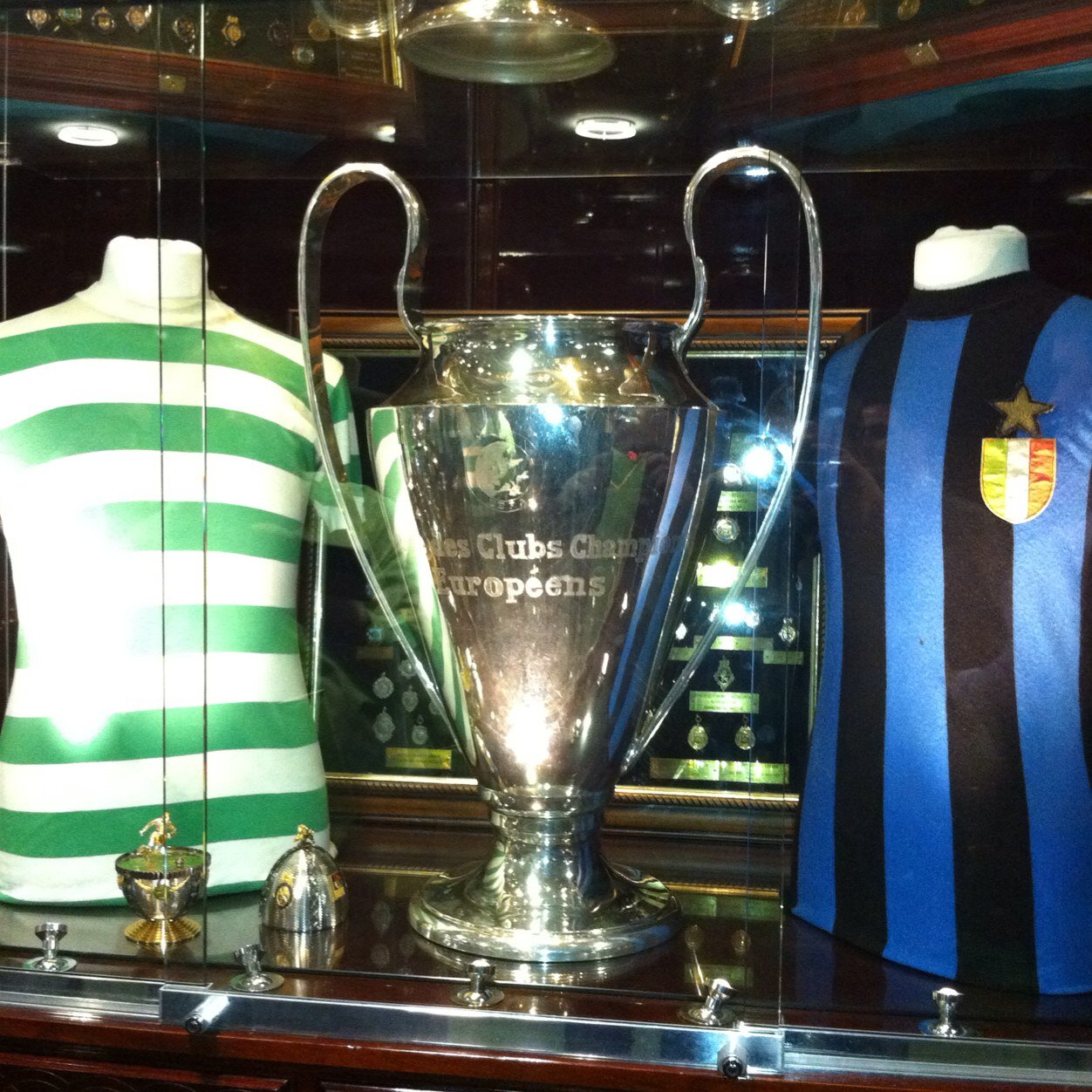 toadie5's profile picture. Never give up