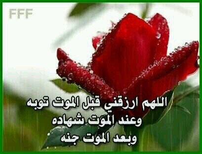 ‏‏‏‏سبحان الله , الحمدلله , الله اكبر , لا إله إلا الله , استغفر الله