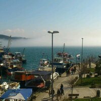 ERHAN Y. (@dolphin_balik) Twitter profile photo