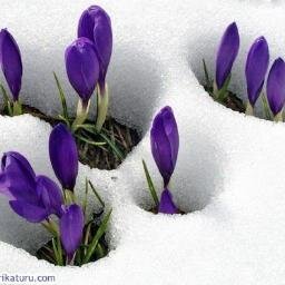 amed_sustan21's profile picture. 