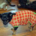 Sandra Woodrow - @SandraWoodrow1 - Twitter