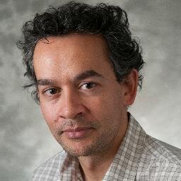 Professor of Health Economics, University of Sheffield