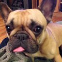 Erin Goad - @eringoad80 - Twitter