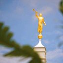 Shane Carter - @SharingThePlan - Twitter