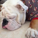 LaTricia.Perry - @mackmakes5 - Twitter