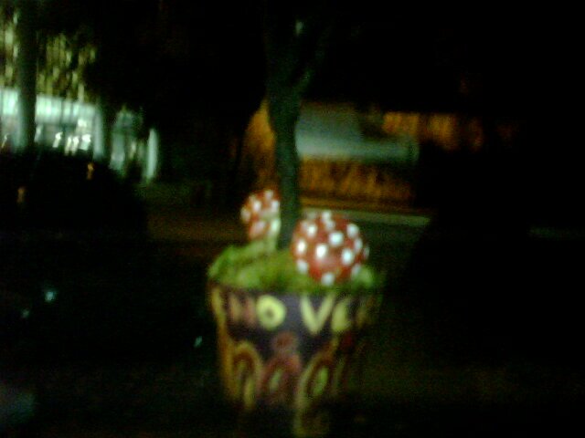 mcannah81's profile picture. 